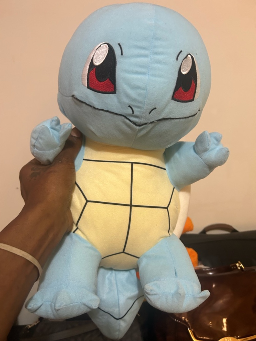 Squirtle-Plush and Charizard